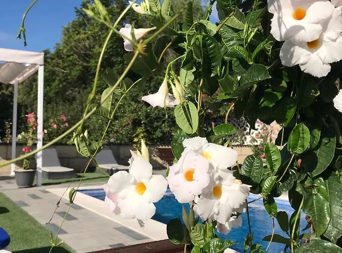 El Cortijo