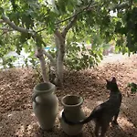 El Cortijo سان ميغيل ذي أبونا